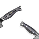 Professional 8-inch Chef VG-10 Damascus Steel Kitchen Knife of Balck Handle