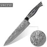 Professional 8-inch Chef VG-10 Damascus Steel Kitchen Knife of Balck Handle