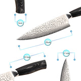 Damascus VG-10 Chef Knife with Balck Handle