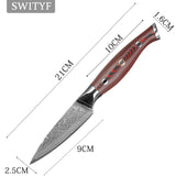 Damascus VG-10 Steel Core Cutting Fruit Paring Knife