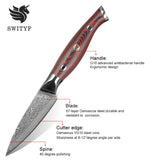 Damascus VG-10 Steel Core Cutting Fruit Paring Knife