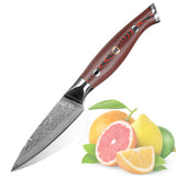 Damascus VG-10 Steel Core Cutting Fruit Paring Knife