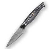 VG-10 3.5inch Fruit Damascus Paring Knife