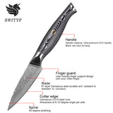 VG-10 3.5inch Fruit Damascus Paring Knife