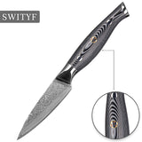 VG-10 3.5inch Fruit Damascus Paring Knife