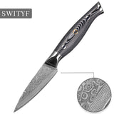 VG-10 3.5inch Fruit Damascus Paring Knife