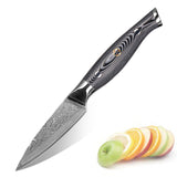 VG-10 3.5inch Fruit Damascus Paring Knife