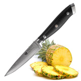 Damascus Stainless Kitchen G-10 Handle Fruit Paring Knife