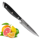 Damascus Stainless Kitchen G-10 Handle Fruit Paring Knife